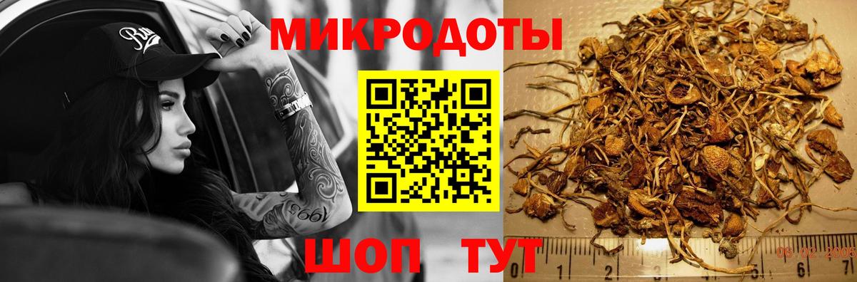 Псилоцибиновые грибы MAGIC MUSHROOMS  Псилоцибиновые грибы GOLDEN TEACHER  Усть-Илимск  Вход с VPN 